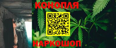 шишки Ирбит