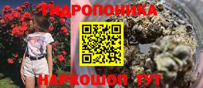 МДПВ Изобильный